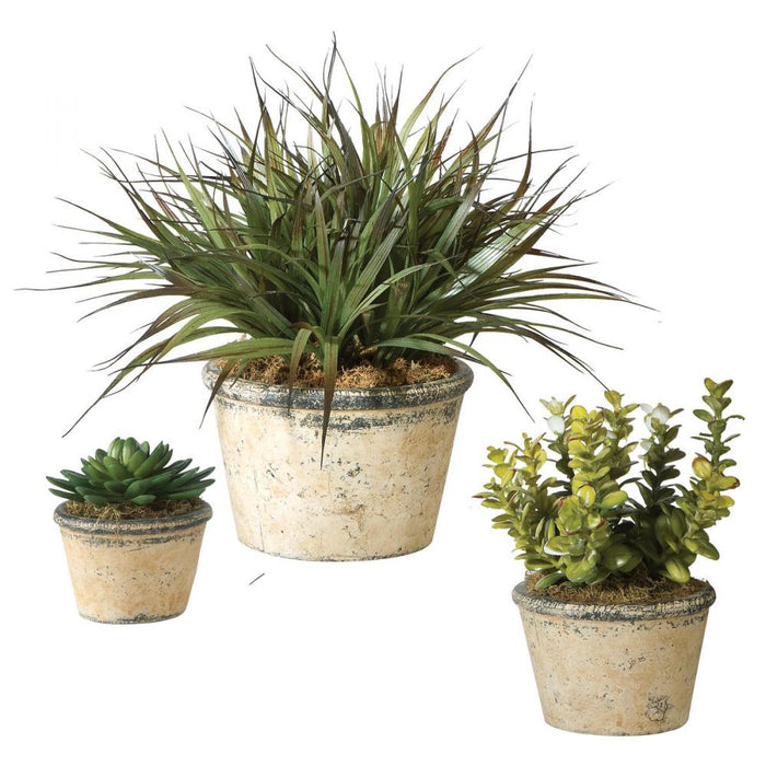 Uttermost La Costa Greenery, Set/3