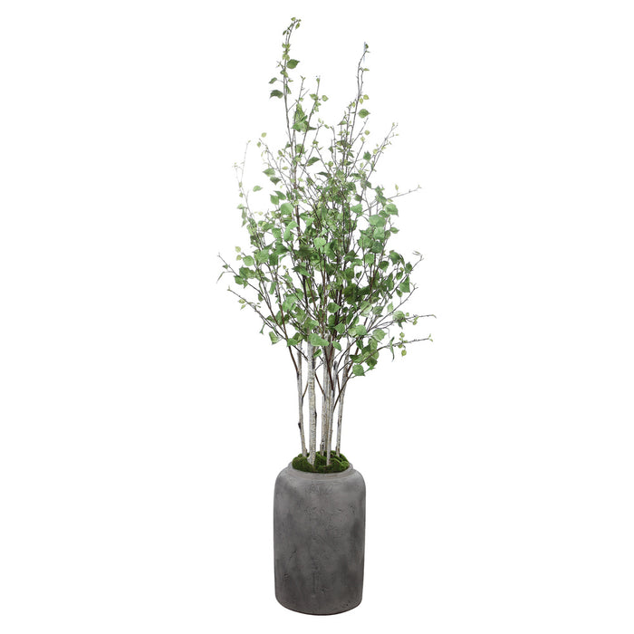 Uttermost Aldis Potted River Birch