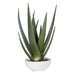Uttermost Evarado Aloe Planter