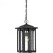 Everglade Outdoor Lantern