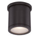 Tube Energy Star LED Outdoor Flush Mount