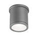 Tube Energy Star LED Outdoor Flush Mount