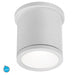 Tube Energy Star LED Outdoor Flush Mount