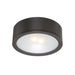 Tube Energy Star LED Outdoor Flush Mount