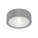 Tube Energy Star LED Outdoor Flush Mount