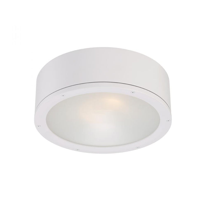 Tube Energy Star LED Outdoor Flush Mount