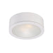 Tube Energy Star LED Outdoor Flush Mount