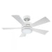 Wynd Downrod Ceiling Fan