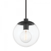 1 LIGHT PENDANT