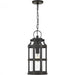 Lassiter Outdoor Lantern