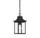 1-Light Outdoor Chandelier in Black