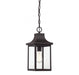 1-Light Outdoor Chandelier in Oil Rubbed Bronze