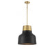 1-Light Pendant in Matte Black with Natural Brass