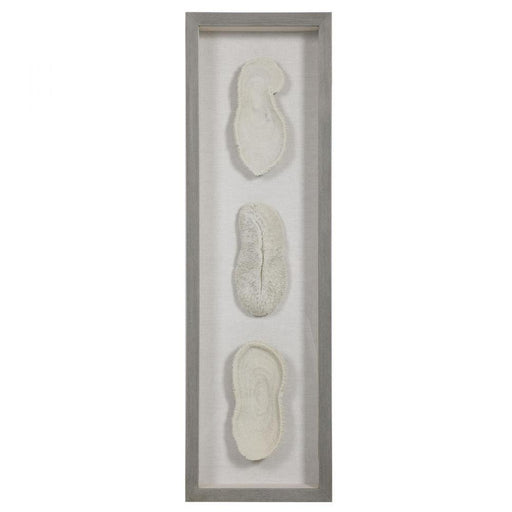 Uttermost White Coral Shadow Box