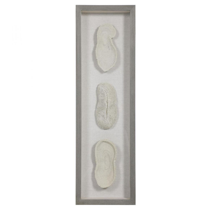 Uttermost White Coral Shadow Box