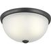 P350044-143 2-75W MED FLUSH MOUNT