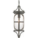 P550041-020 1-100W MED HANGING LANTERN