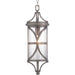 P550041-103 1-100W MED HANGING LANTERN