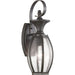 P560101-020 1-100W MED WALL LANTERN