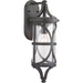 P560117-020 1-100W MED WALL LANTERN