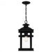 Scout Outdoor Lantern