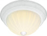 2 LIGHT 13" FLUSH MOUNT