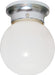 1 LIGHT 8" BALL FIXTURE