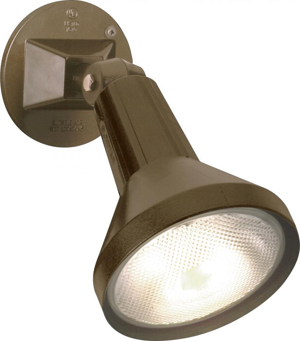 1 LIGHT 8" PAR38 FLOODLIGHT