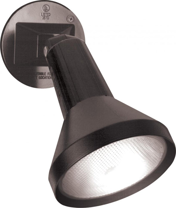 1 LIGHT 8" PAR38 FLOODLIGHT