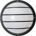 1 LIGHT POLY ROUND CAGE WALL