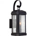 Trumbull Outdoor Lantern