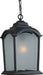 Hartford AC8115BG 1 Light Outdoor Pendant