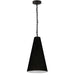 1LT Anaya Small Pendant,  MB w/ BK Shade