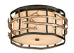 ADIRONDACK 2LT CEILING FLUSH