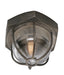 ACME 1LT CEILING FLUSH