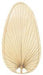 Caruso Blade Set of Ten - 22 inch-Narrow Oval Palm - N