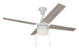 48" Ceiling Fan w/Blades & LED Light Kit