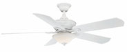 Camhaven v2 - 52 inch - MW with Glass Bowl Light