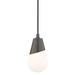 1 LIGHT PENDANT