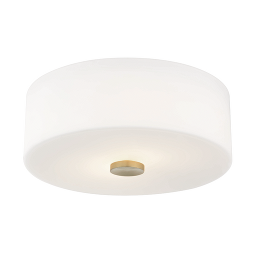 2 LIGHT FLUSH MOUNT