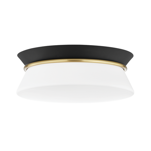 2 LIGHT FLUSH MOUNT