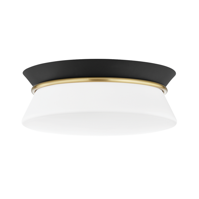 2 LIGHT FLUSH MOUNT