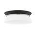 2 LIGHT FLUSH MOUNT