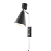 1 LIGHT WALL SCONCE WITH PLUG