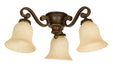 Chaparral Antique Scavo Glass w/3x9w LED