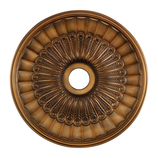 Hillspire Medallion 24 Inch in Antique Bronze Finish