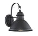 1-Light Outdoor Wall Sconce in Matte Black