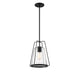 1-Light Outdoor Hanging Lantern in Matte Black