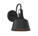 1-Light Outdoor Wall Sconce in Matte Black