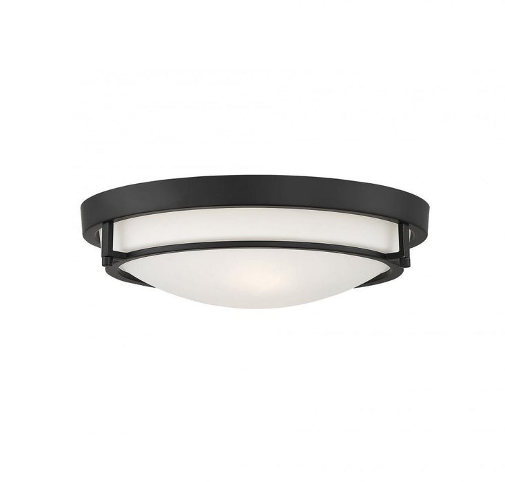 2-Light Ceiling Light in Matte Black